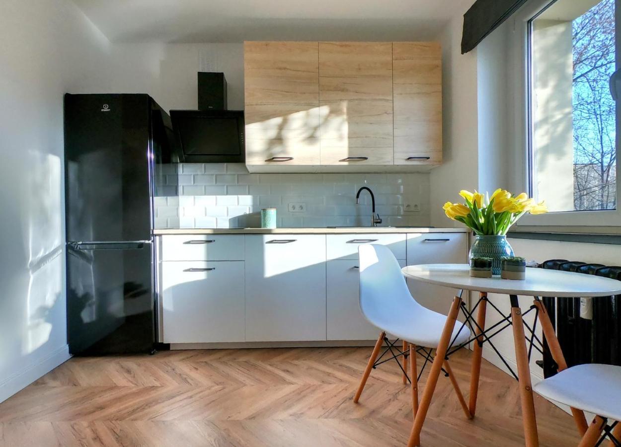 Przytulny Apartament Przy Sokolskiej - 550 Metrow Od Spodka Катовіце Екстер'єр фото