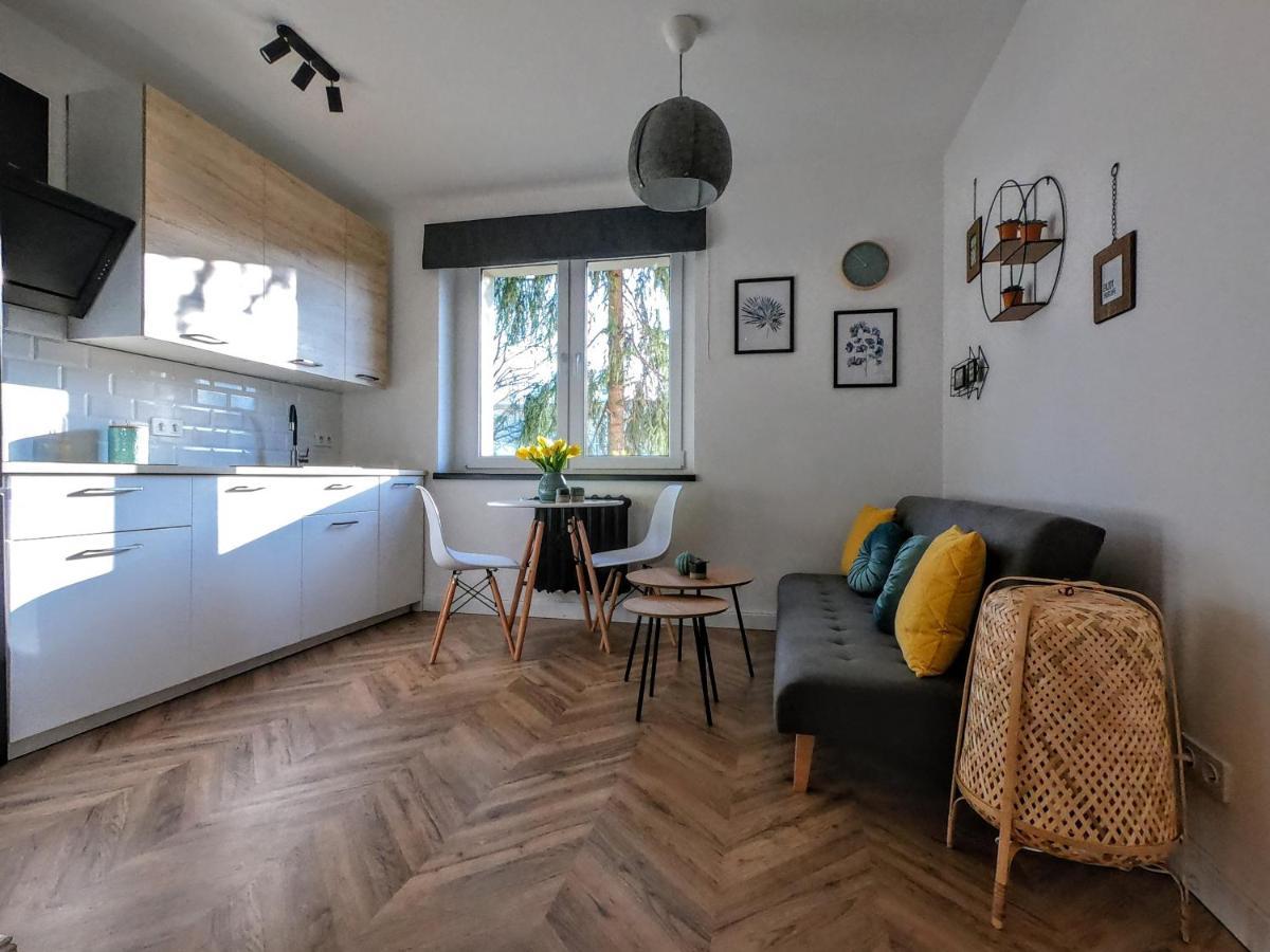 Przytulny Apartament Przy Sokolskiej - 550 Metrow Od Spodka Катовіце Екстер'єр фото