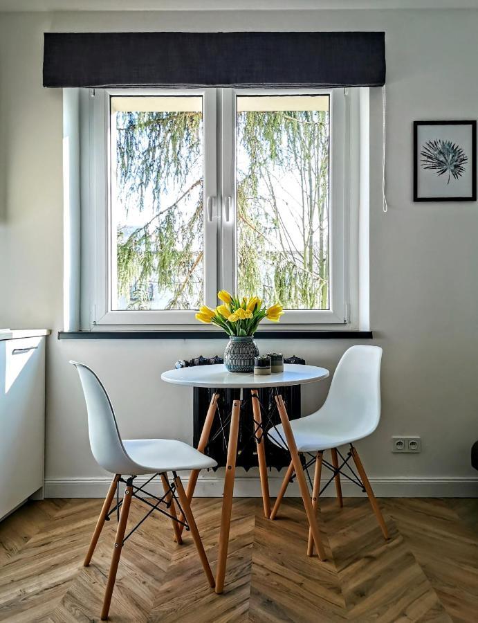 Przytulny Apartament Przy Sokolskiej - 550 Metrow Od Spodka Катовіце Екстер'єр фото